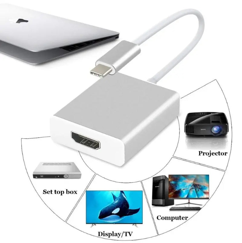 Type C to HDMI Adapter +  Snap Deal.