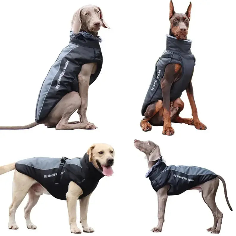 Waterproof Dog Jacket - XL +  Snap Deal.