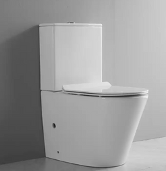 Back to Wall Toilet Suite Rimless Promo +  Snap Deal.