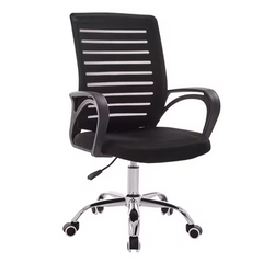 Ergonomic Office Chair Promo +  Snap Deal.