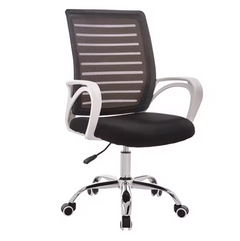 Ergonomic Office Chair Promo +  Snap Deal.