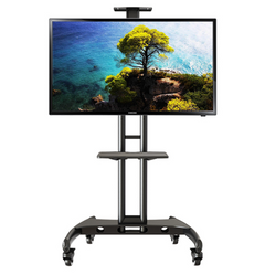 Universal Height Adjustable Rolling Double Screen TV Stand +  Snap Deal.