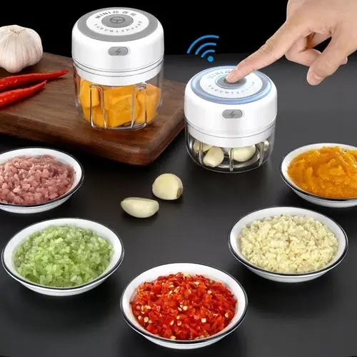 Mini Vegetable Crusher +  Snap Deal.